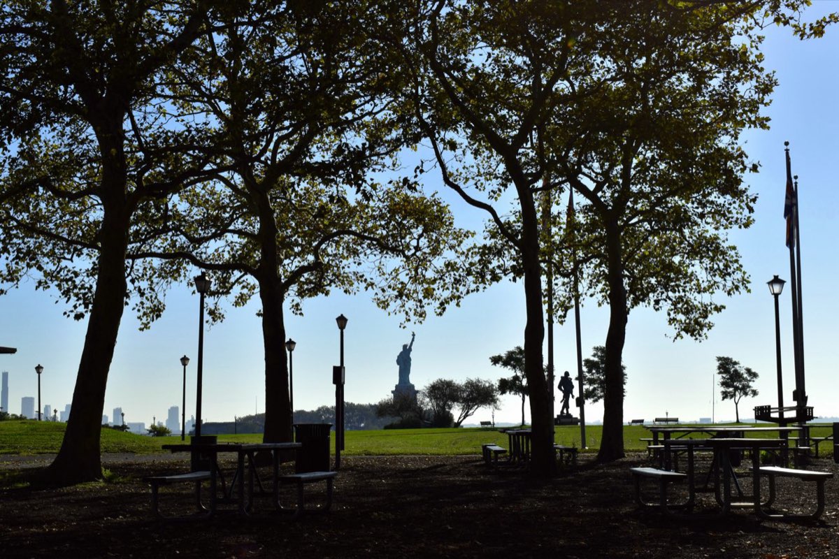 Liberty State Park: the Statue of Liberty seen through the trees from the picnic lawn. Photo from their website.