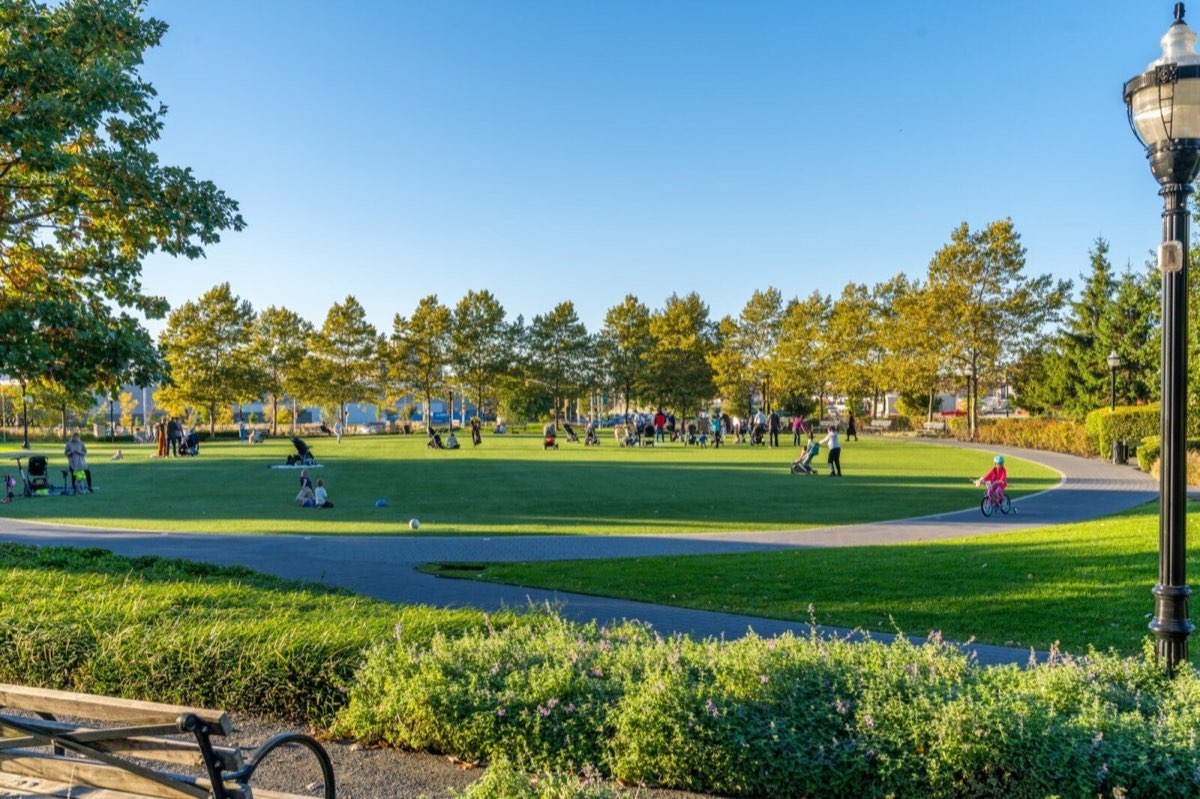 Newport Green: the wide lawn with the skyline behind. Photo from their website.