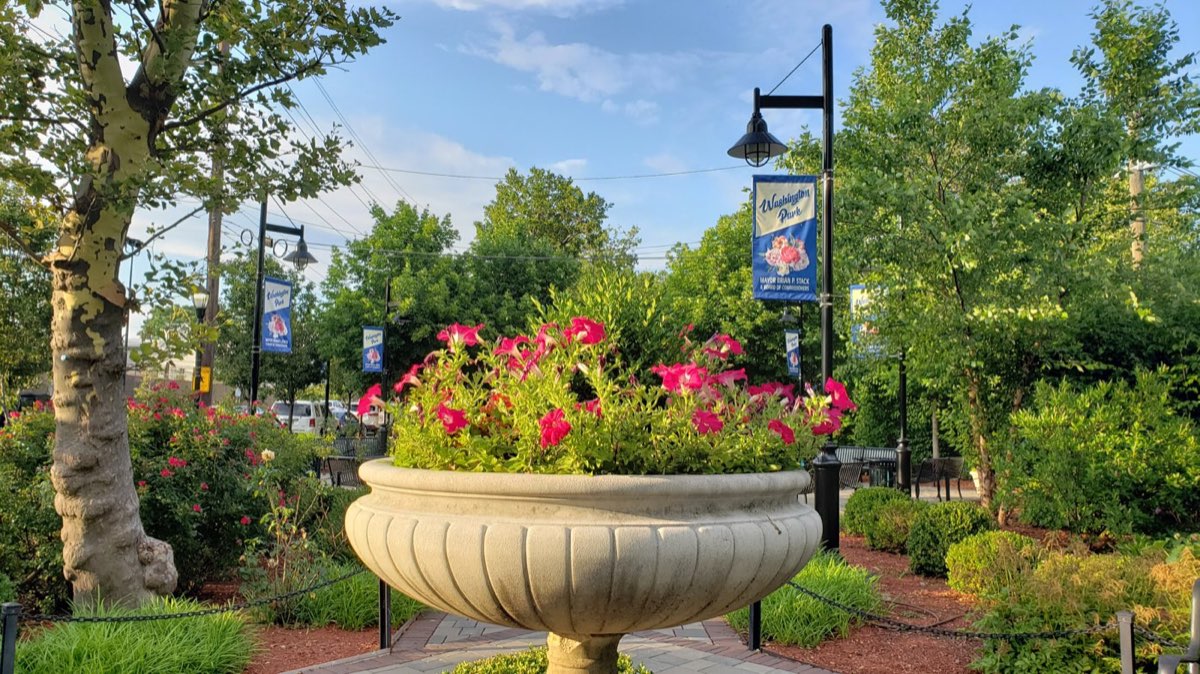 Washington Park: a stone planter of pink petunias with the park banner. Photo from their website.